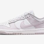 Wmns Nike Dunk Low ‘Venice’