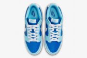 Dunk Low Retro QS ‘Argon’ 2022 - Image 6