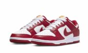 Dunk Low USC - Afbeelding 2
