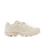 Salomon XT-6 
