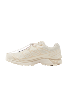 Salomon XT-6 