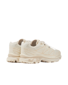 Salomon XT-6 
