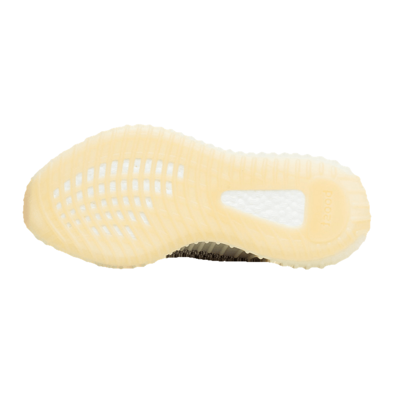 Yeezy Boost 350 V2 Bone image 3 Yeezy Boost 350 V2 Bone