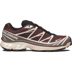 Salomon XT-6 GORE-TEX 