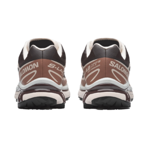 Salomon XT-6 