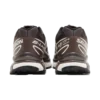 Salomon XT-6 