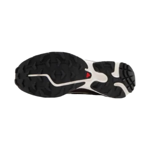 Salomon XT-6 