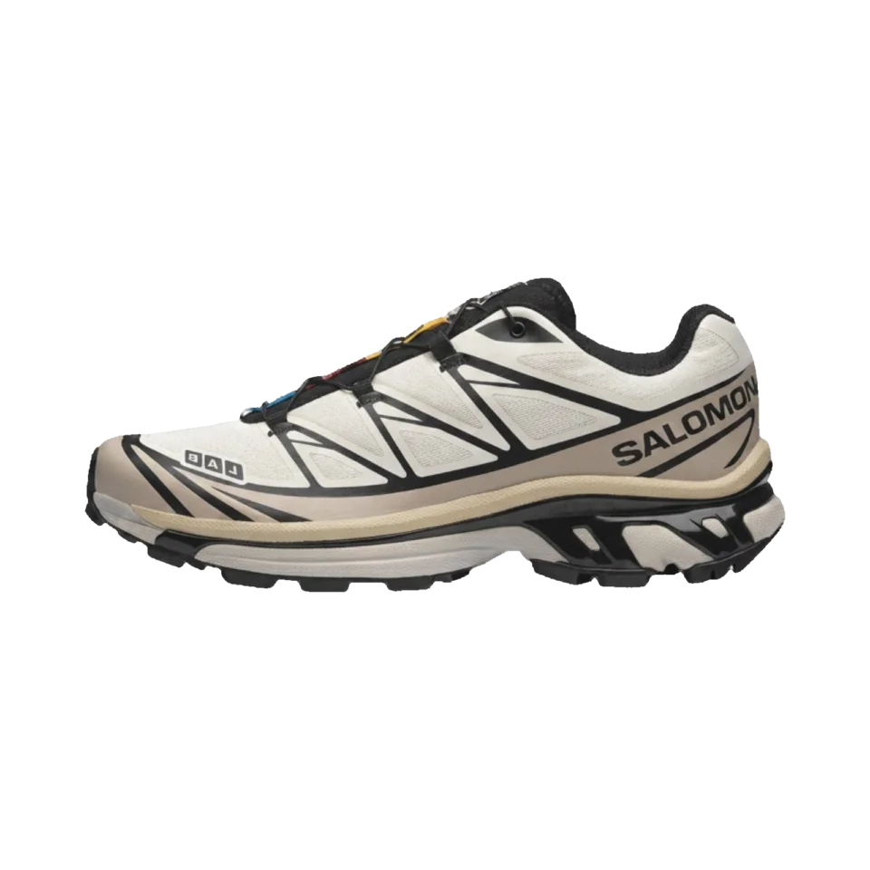 Salomon XT-6 